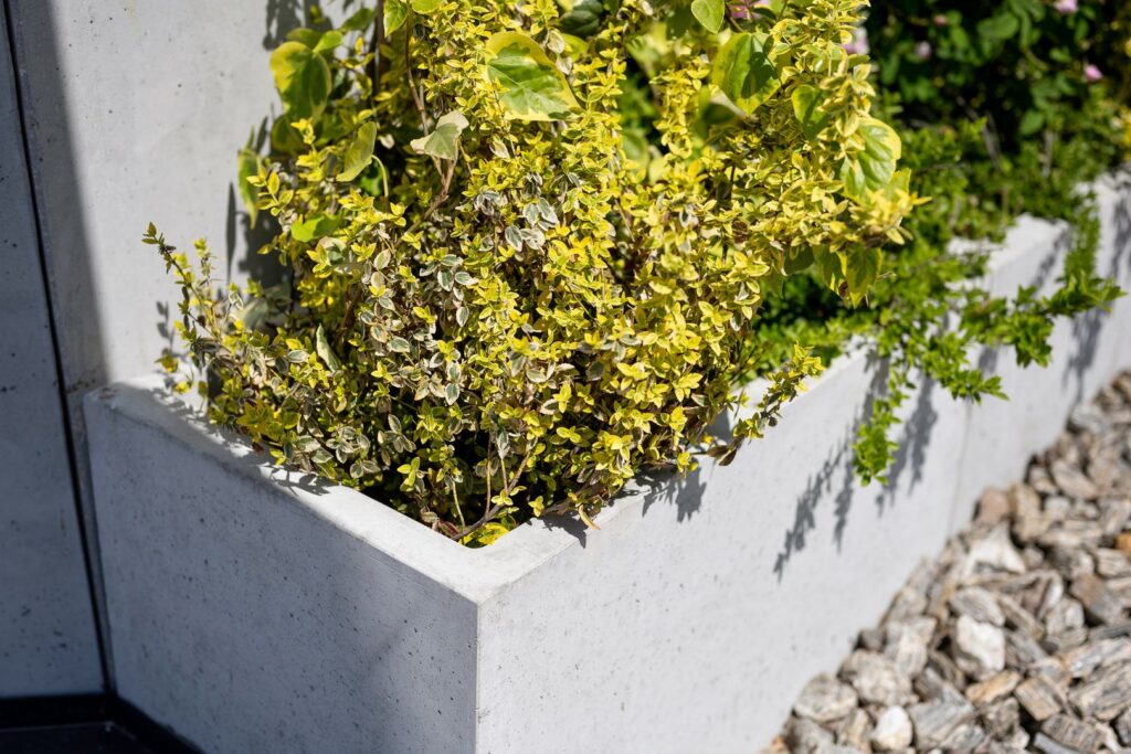 podstrony-zdjecia-004